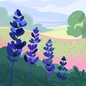 Meet your Posher, Iberia